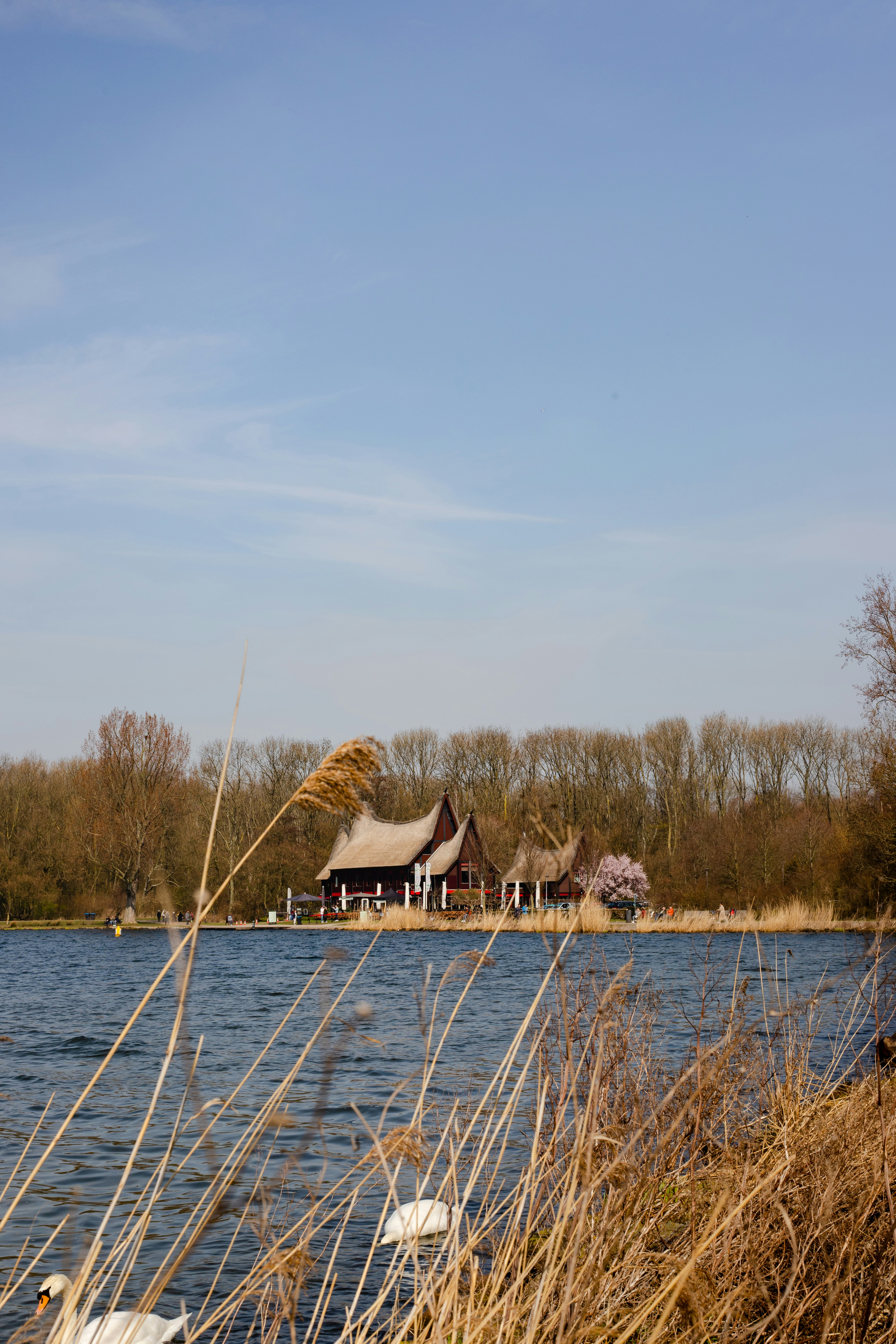 brown wooden house on body of water during daytime